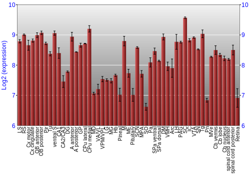 Expression graph
