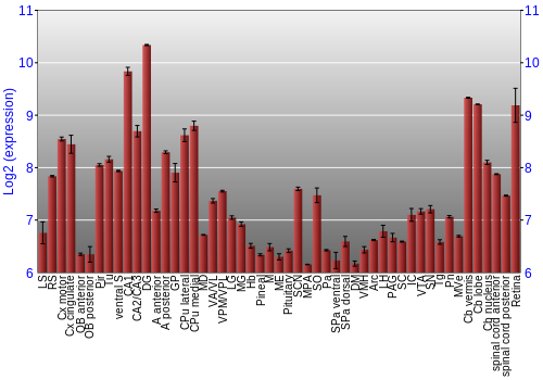 Expression graph