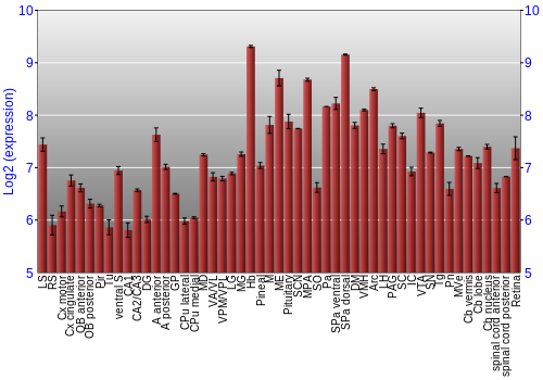 Expression graph