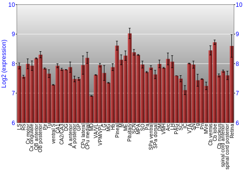 Expression graph