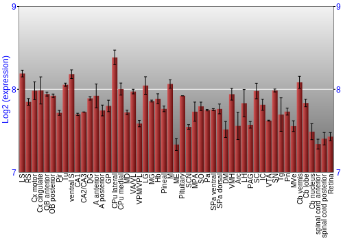 Expression graph