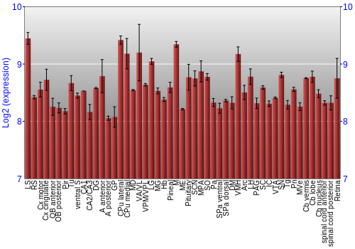 Expression graph