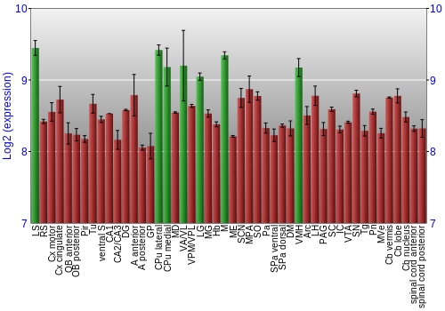 Multi-state expression graph