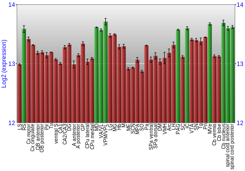 Multi-state expression graph