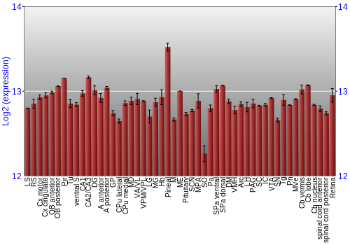 Expression graph