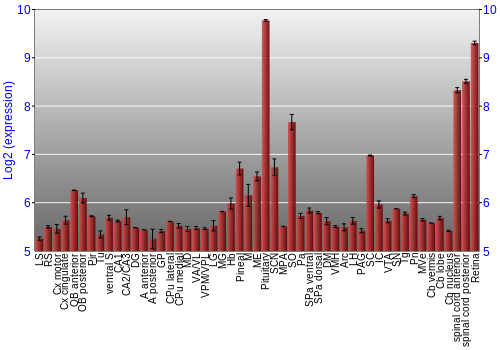 Expression graph