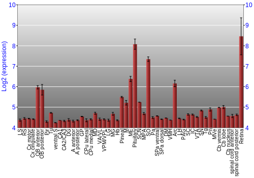 Expression graph