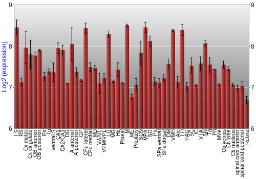 Expression graph