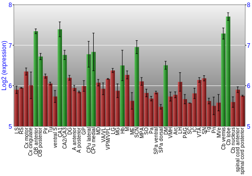 Multi-state expression graph