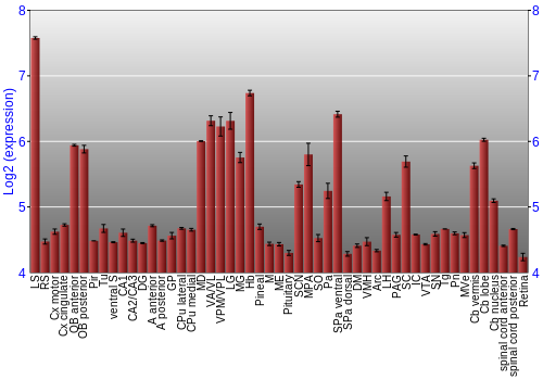Expression graph
