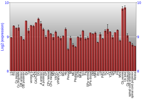 Expression graph