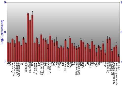 Expression graph