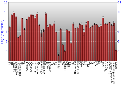 Expression graph