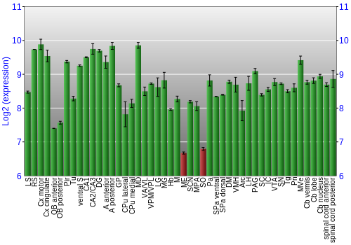 Multi-state expression graph