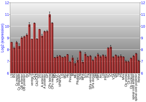 Expression graph