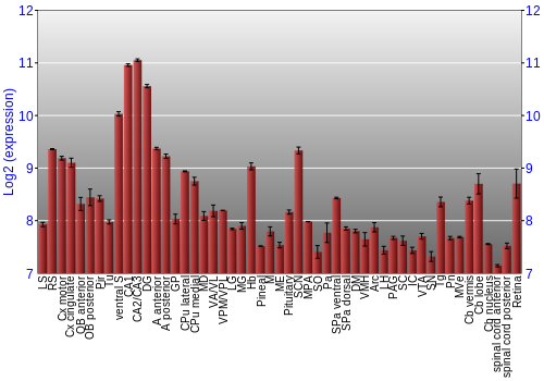 Expression graph