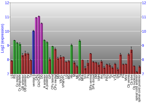 Multi-state expression graph