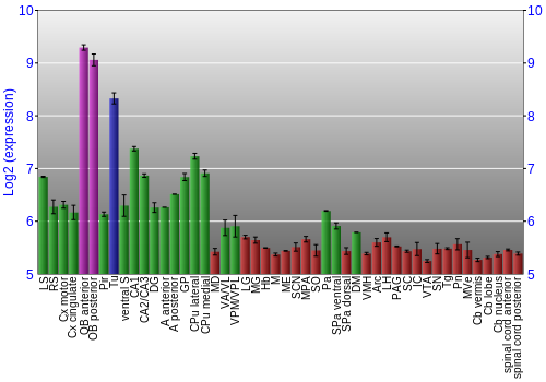 Multi-state expression graph