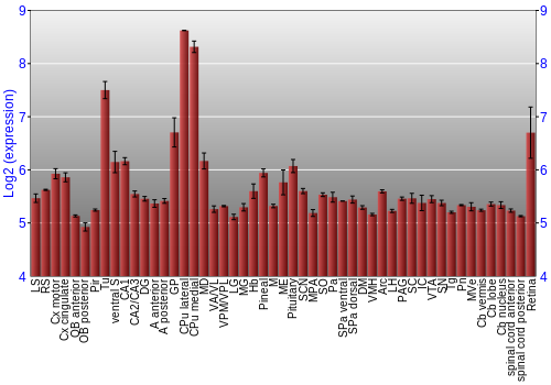Expression graph