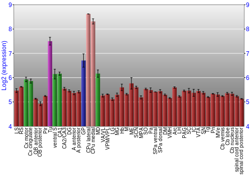 Multi-state expression graph