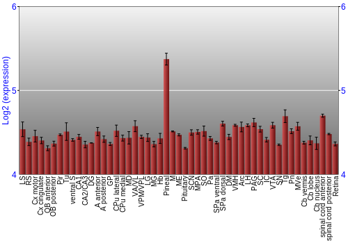 Expression graph