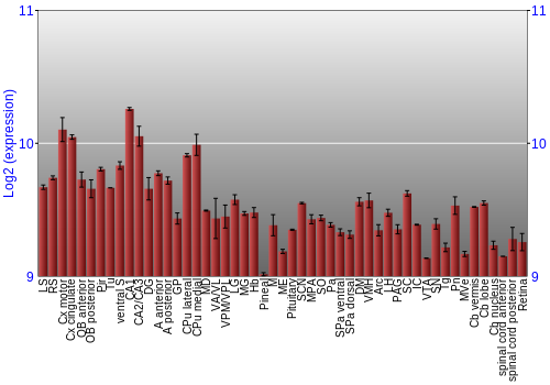 Expression graph