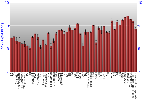 Multi-state expression graph
