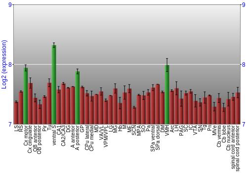Multi-state expression graph