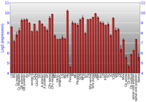 Expression graph