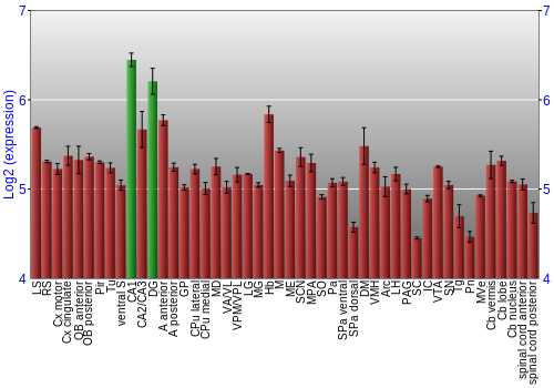 Multi-state expression graph