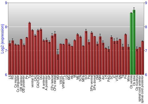 Multi-state expression graph