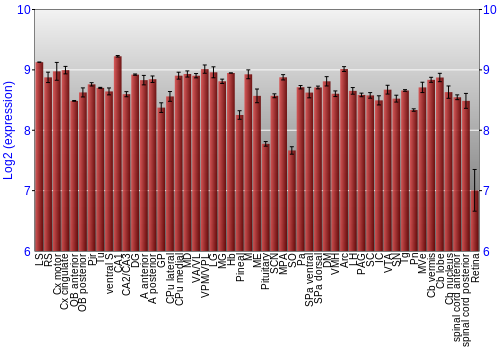 Expression graph