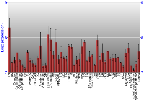 Expression graph