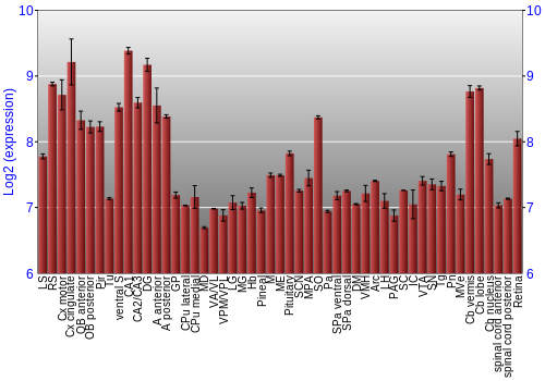 Expression graph