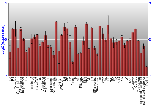 Expression graph