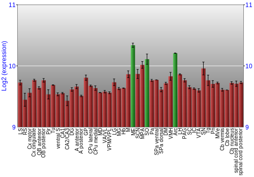 Multi-state expression graph
