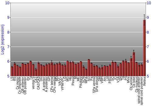 Expression graph