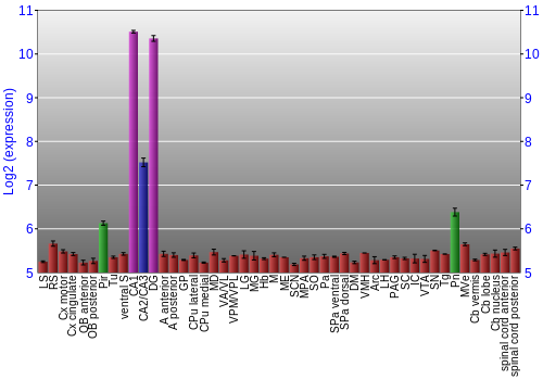 Multi-state expression graph