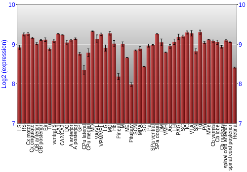 Expression graph