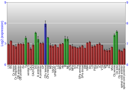 Multi-state expression graph