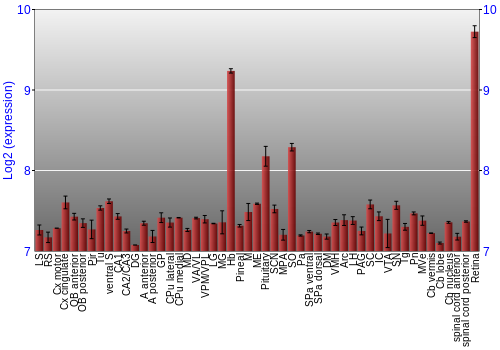 Expression graph