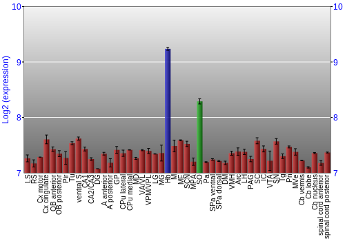 Multi-state expression graph