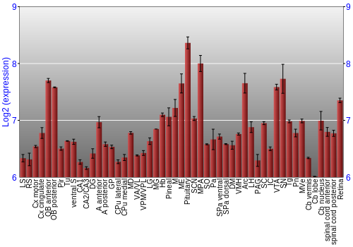 Expression graph