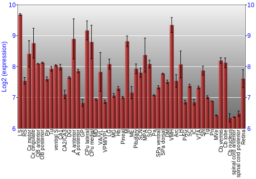 Expression graph
