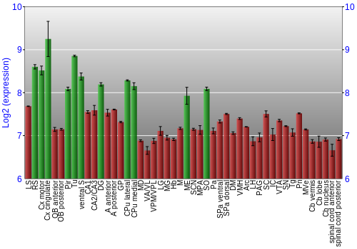 Multi-state expression graph
