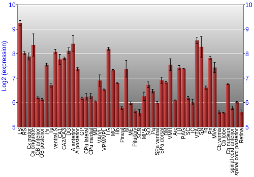 Expression graph