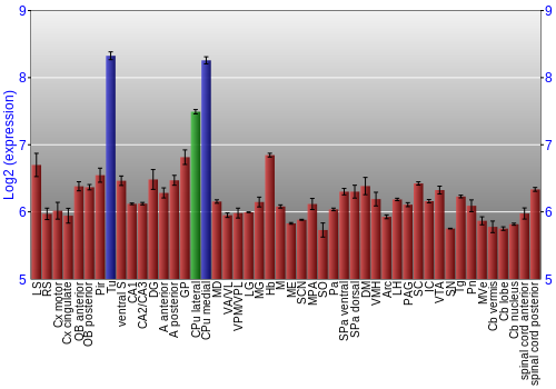 Multi-state expression graph