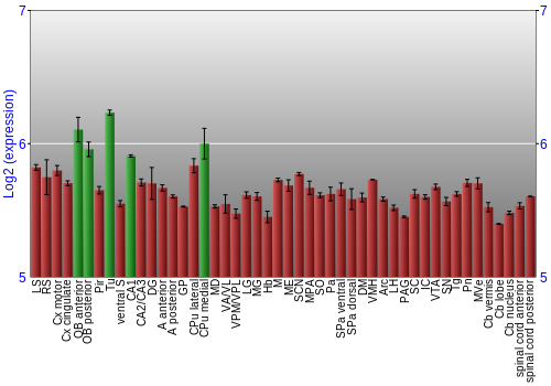 Multi-state expression graph