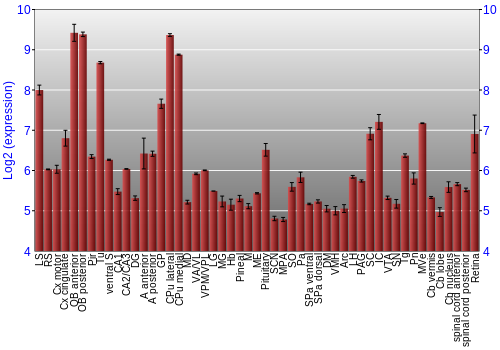 Expression graph