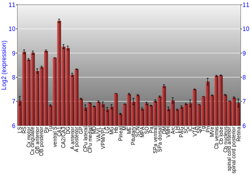 Expression graph